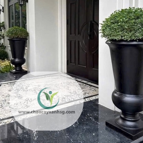 Chậu xi măng hình cúp tại cửa ra vào khách sạn