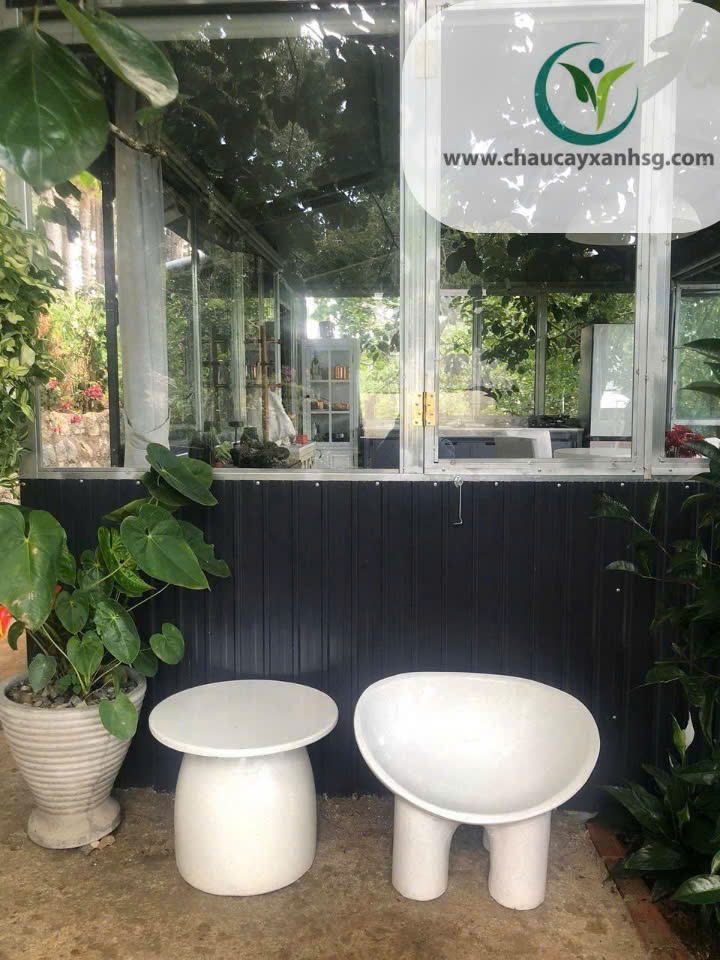 Bàn sofa kết hợp ghế chân voi tại chaucayxanhsg.com