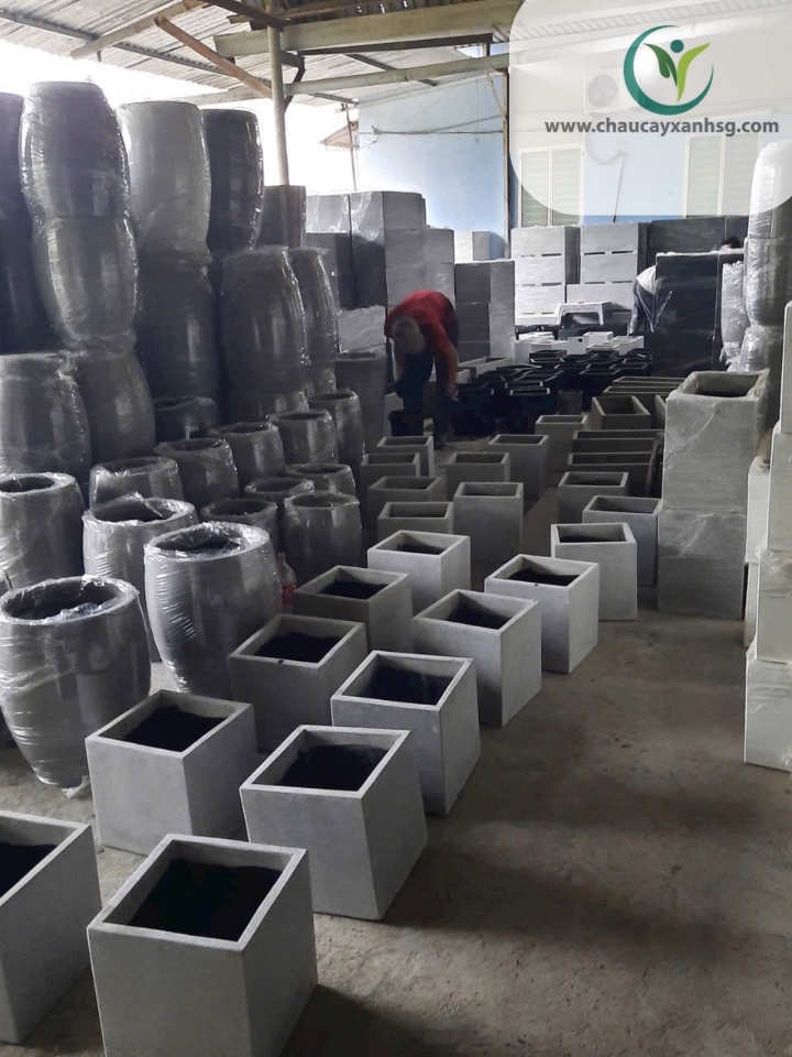 Chậu Xi Măng Trụ Tròn Sản Xuất Tại Xưởng Chaucayxanhsg.,com