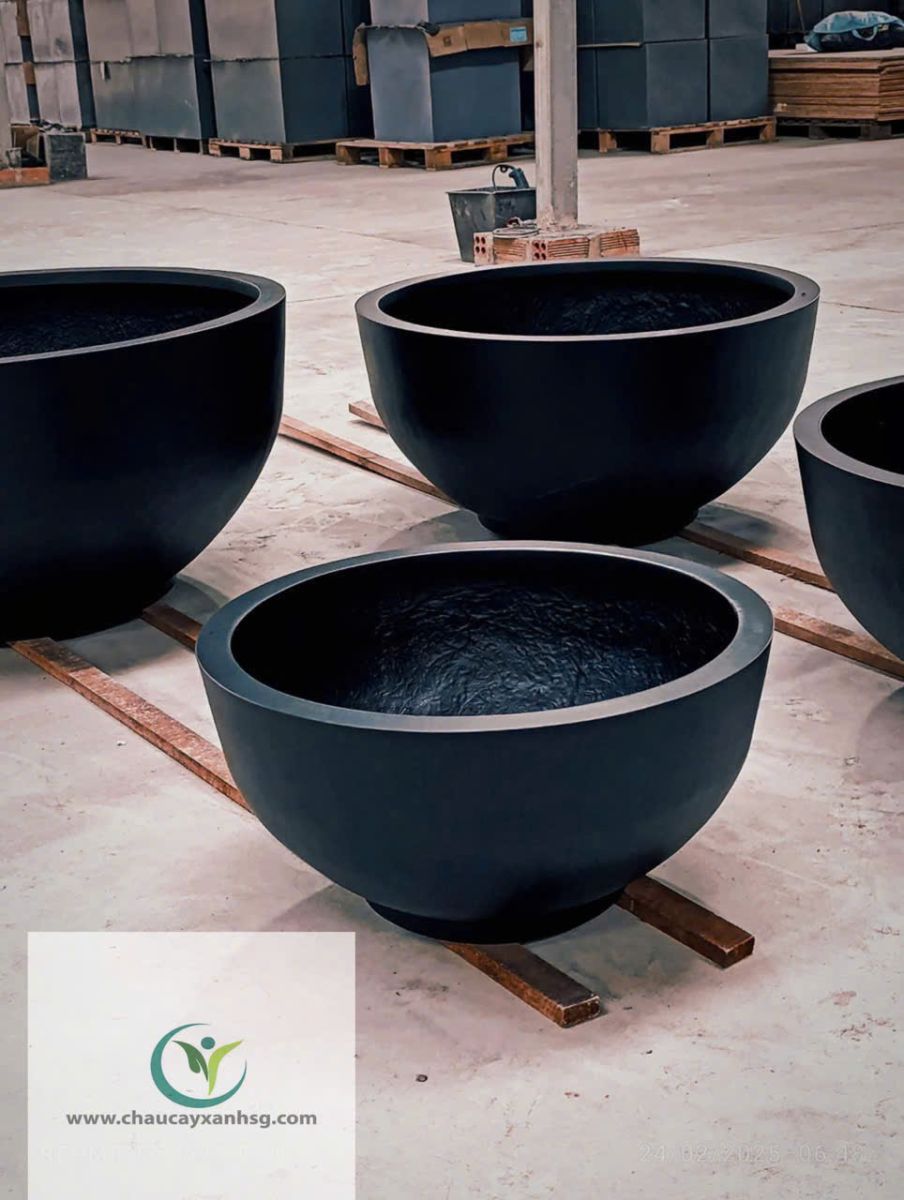 Chậu Composite Nuôi Cá Trồng Sen Đẹp