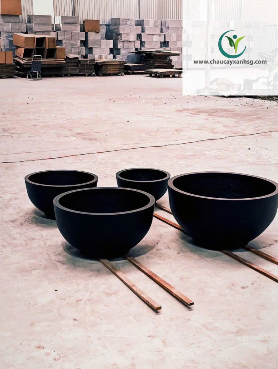 Chậu Composite Nuôi Cá Trồng Sen Đẹp