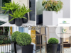Chậu Composite Là Gì? Những Lí Do Nên Chọn Chậu Composite  