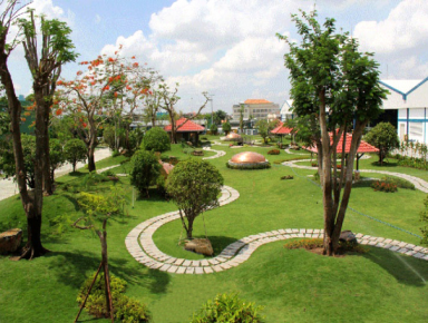 Thi Công Cây Xanh Công Trình Giá Rẻ | Gọi Tư Vấn Ngay