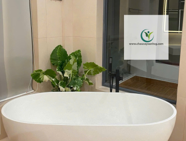 So Sánh Bồn Tắm Terrazzo Và Đá Tự Nhiên 