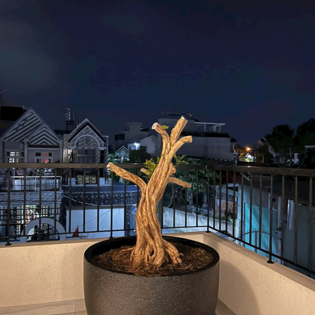 Chậu Composite Cao Cấp