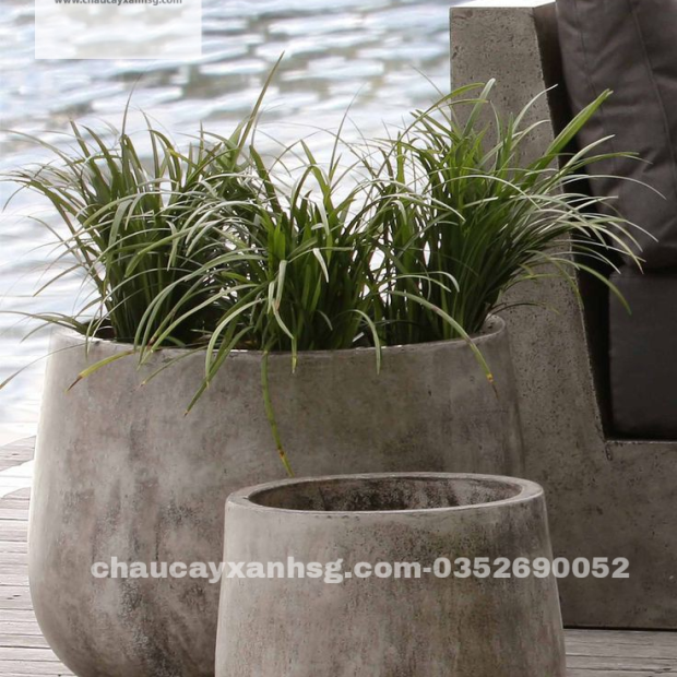Chậu xi măng hình thúng 25×18