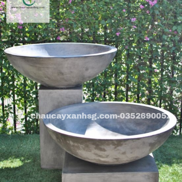 Chậu xi măng hình chảo trồng tiểu cảnh mini sân vườn