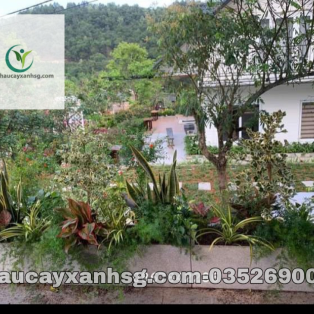 Chậu trồng cây chữ nhật 60x30x30