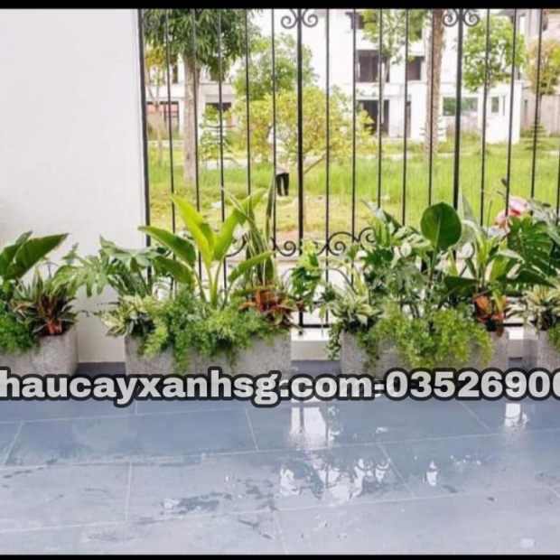 Chậu trồng cây chữ nhật 60x30x30