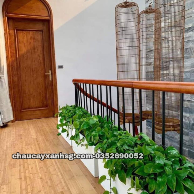 Chậu trồng cây chữ nhật 60x30x30