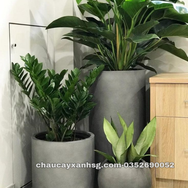 Chậu trồng cây đá mài trụ tròn 30×60