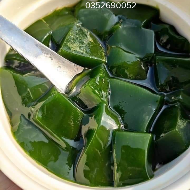 Lá cây sương sâm lông và những công dụng tốt cho sức khỏe