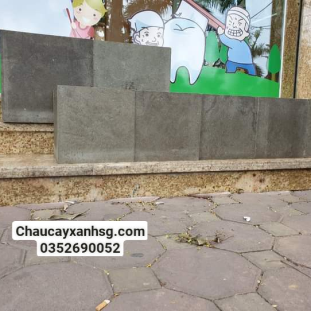 Chậu xi măng vuông 40x40x40 giá rẻ tại TP.HCM