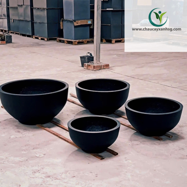 Chậu Composite Nuôi Cá Trồng Sen Đẹp 