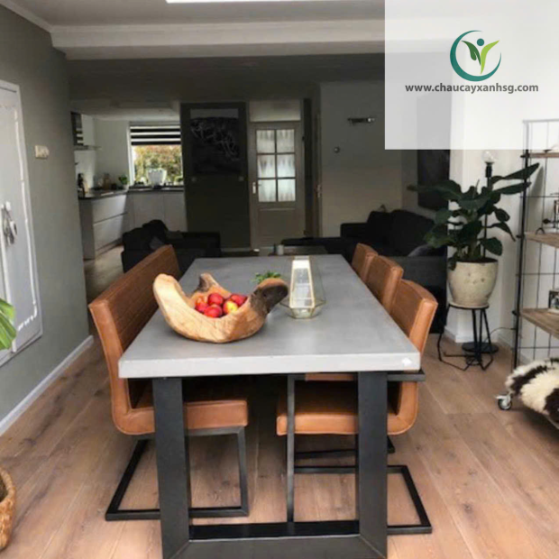 Bàn Bê Tông Hình Chữ Nhật Cho Phòng Khách