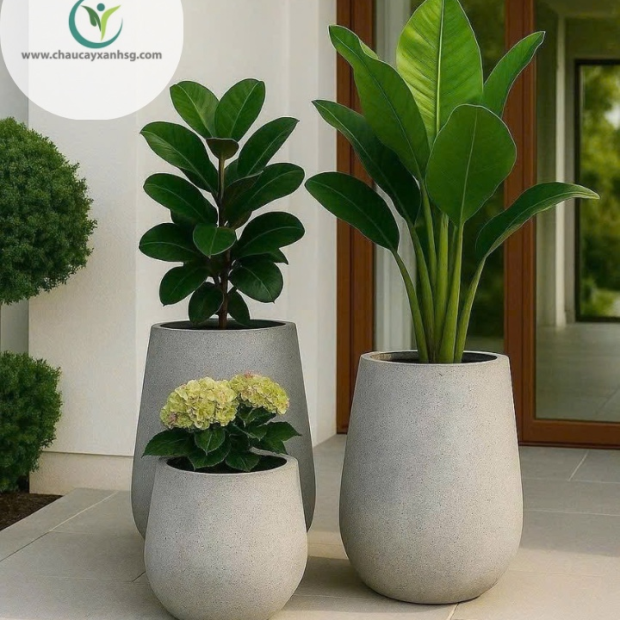Bán Chậu Xi Măng Đá Mài Trồng Cây TP.HCM