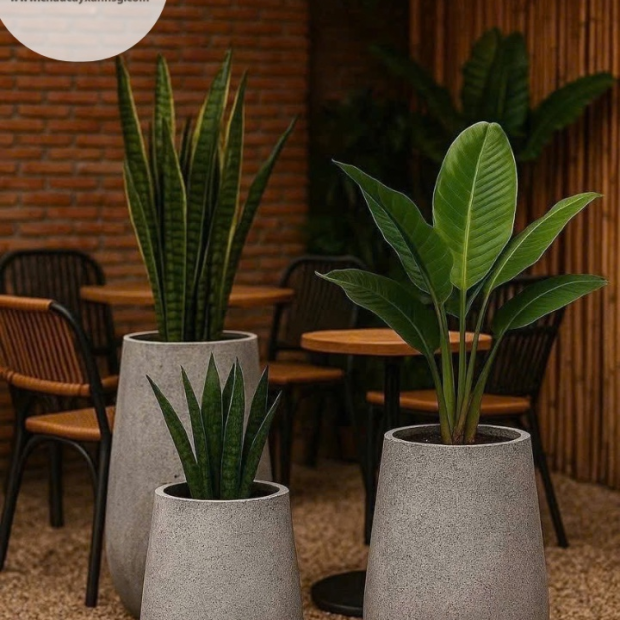 Bán Chậu Xi Măng Đá Mài Trồng Cây TP.HCM