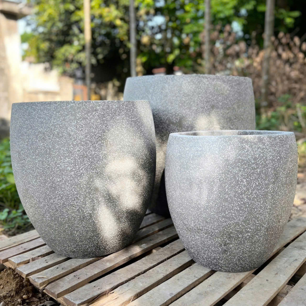 Bán Chậu Xi Măng Dáng Bầu Trồng Cây TP.HCM