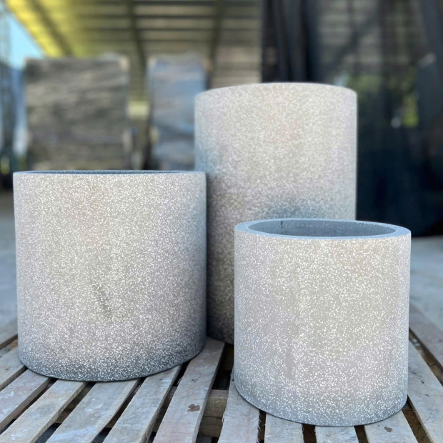 Bán Chậu Xi Măng Hình Tròn Trồng Cây TP.HCM