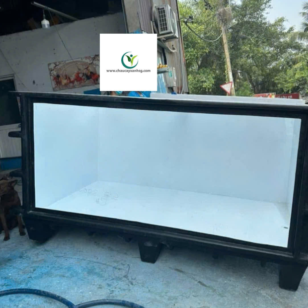 Bể Cá Composite Theo Yêu Cầu