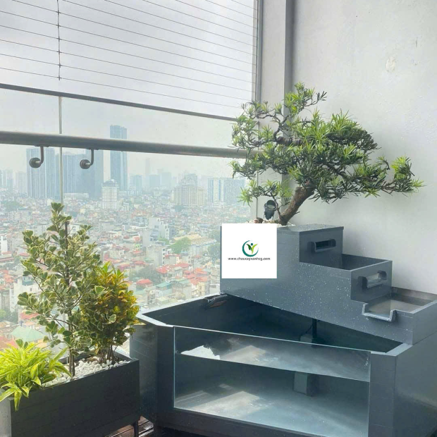 Cung Cấp Sản Xuất Chậu Trồng Cây Composite Cho Văn Phòng, Ban Công, Sân Vườn/ Giá Tại Xưởng