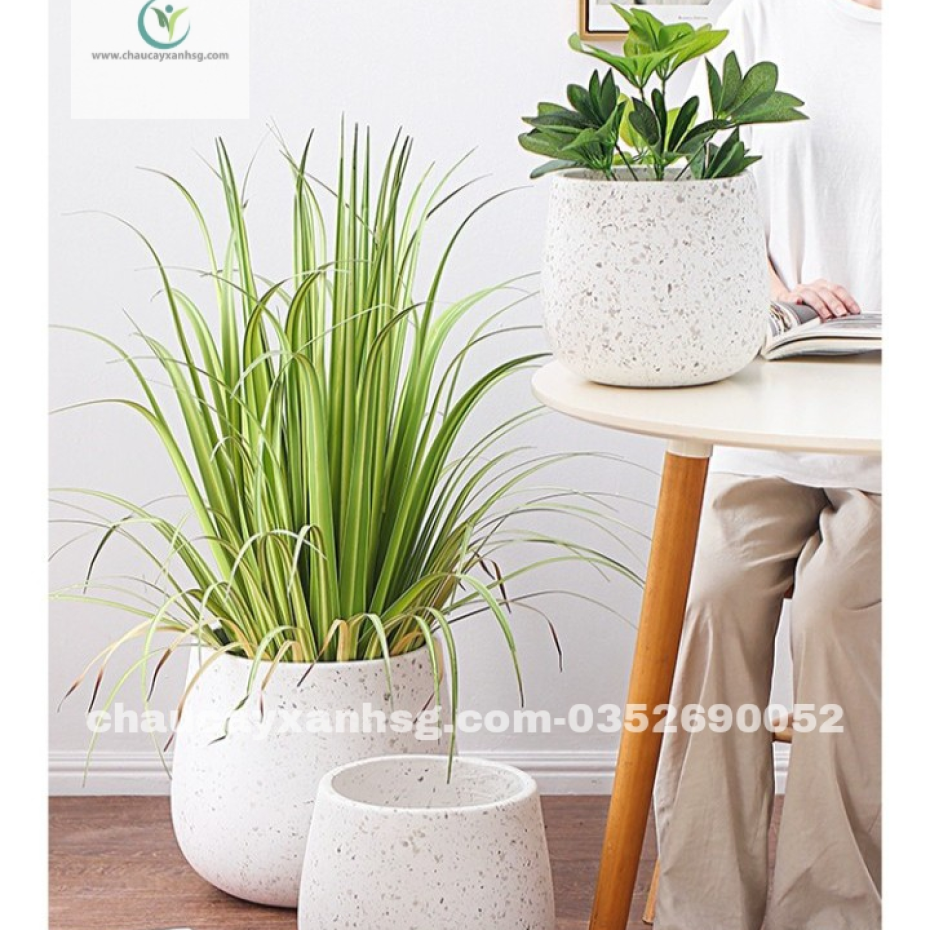 Chậu đá mài trắng hình thúng