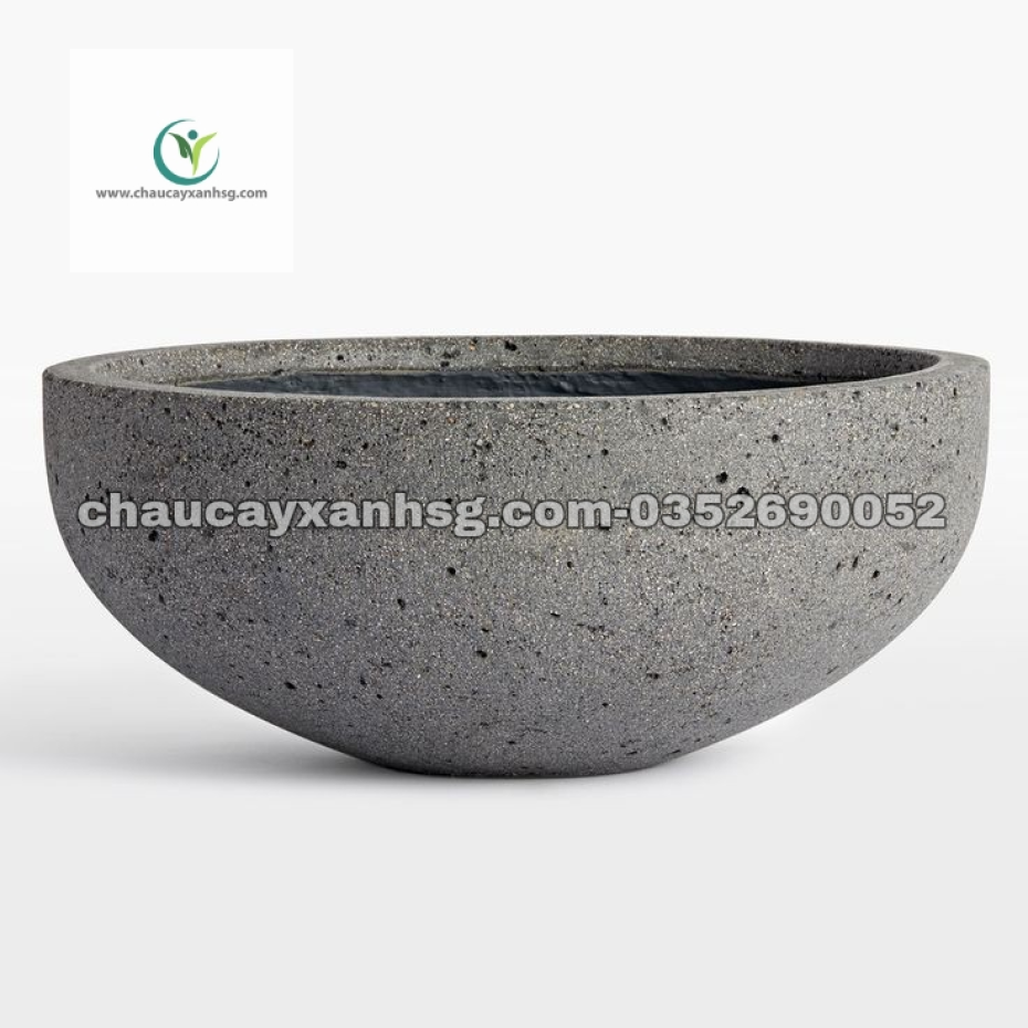 Chậu xi măng hình chảo trồng tiểu cảnh mini sân vườn