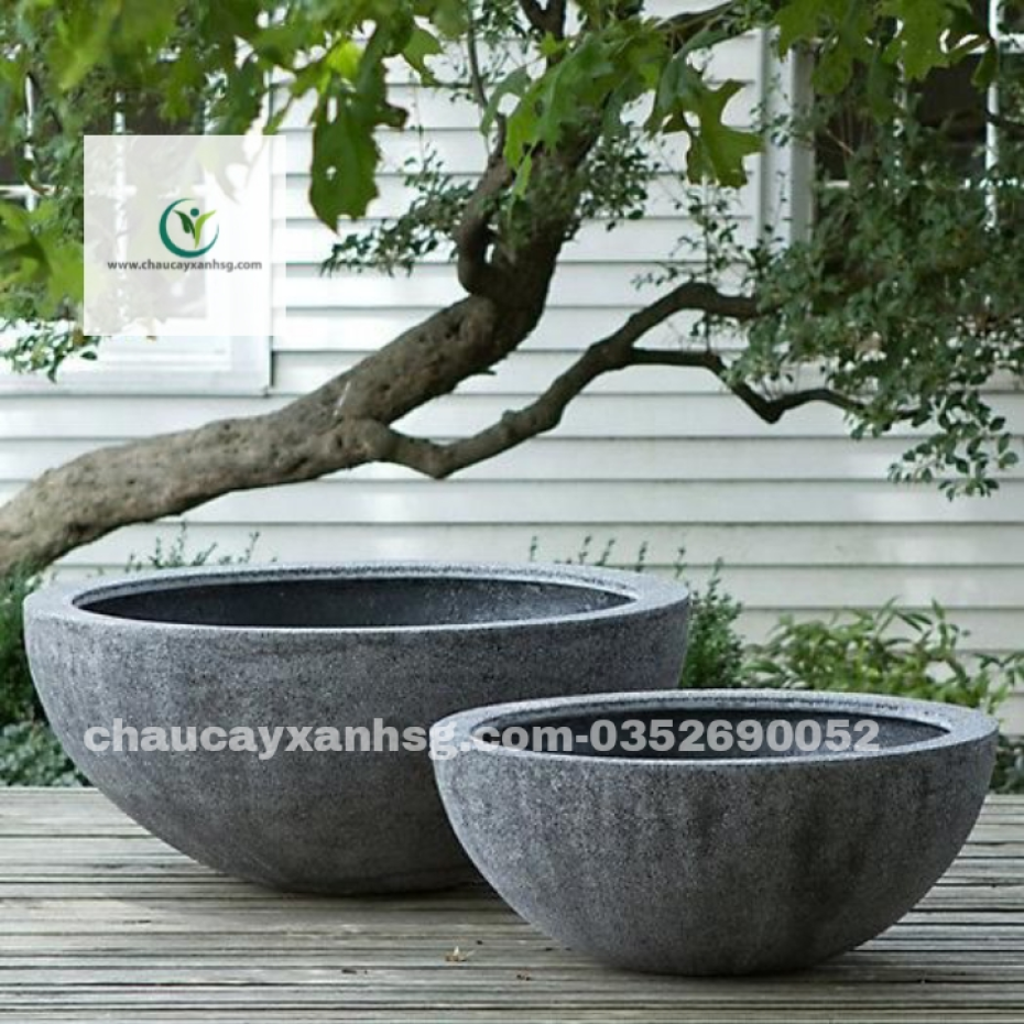 Chậu xi măng hình chảo trồng tiểu cảnh mini sân vườn