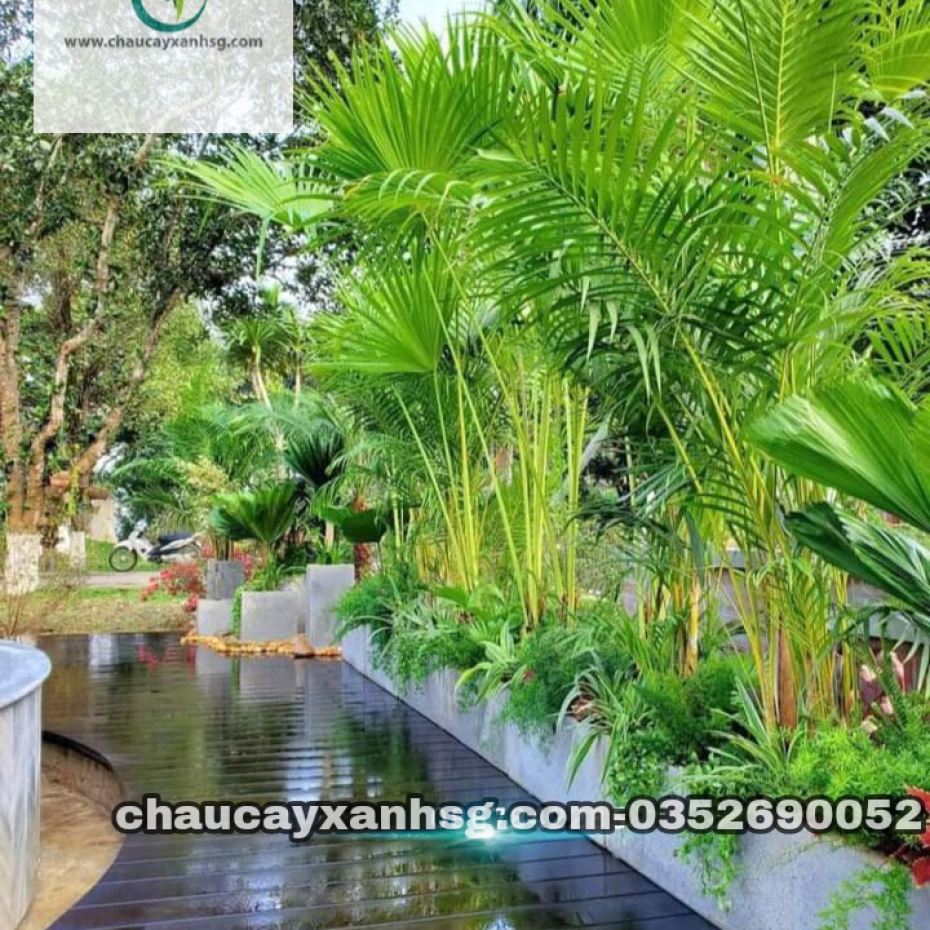 Chậu trồng cây chữ nhật 60x30x30