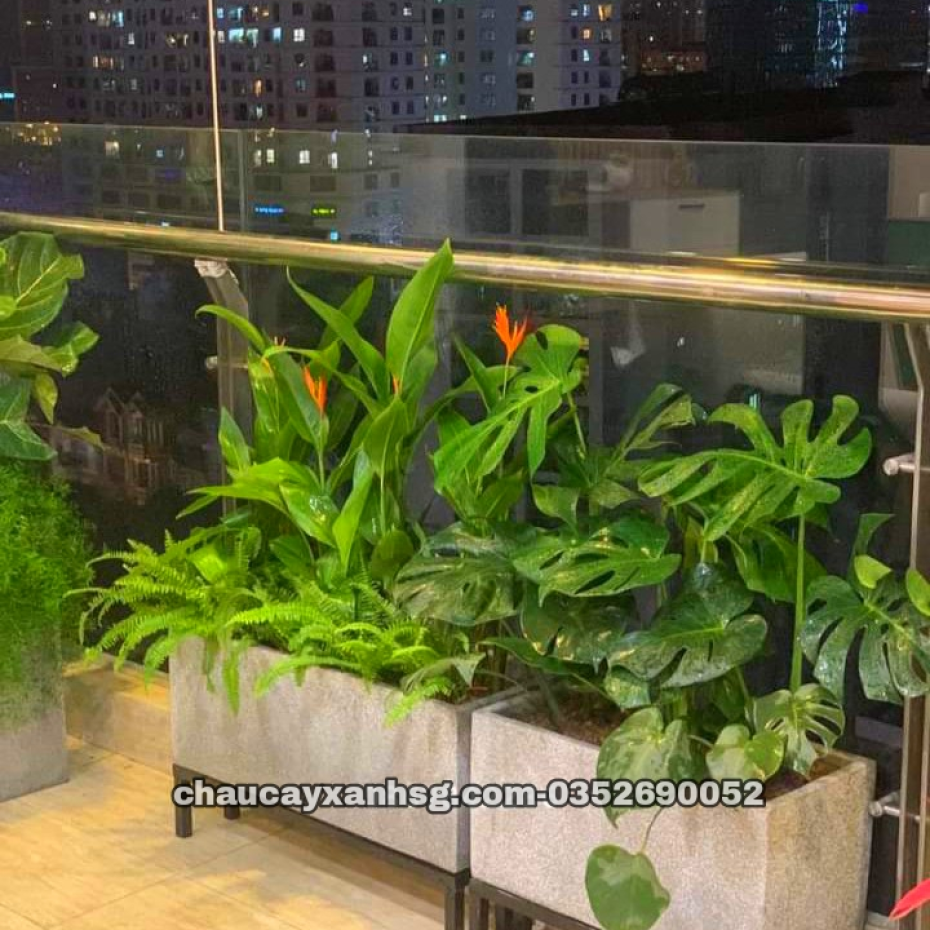 Chậu trồng cây chữ nhật 60x30x30