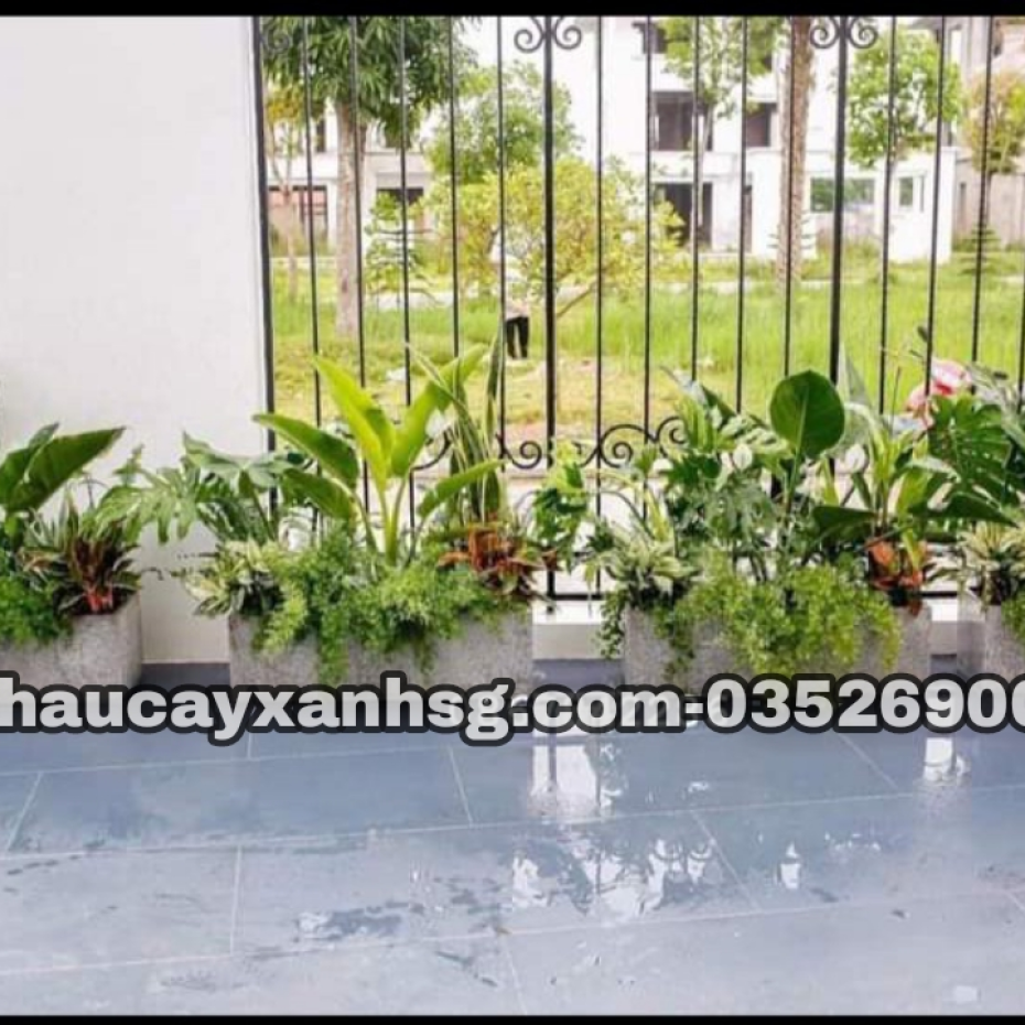 Chậu trồng cây chữ nhật 60x30x30
