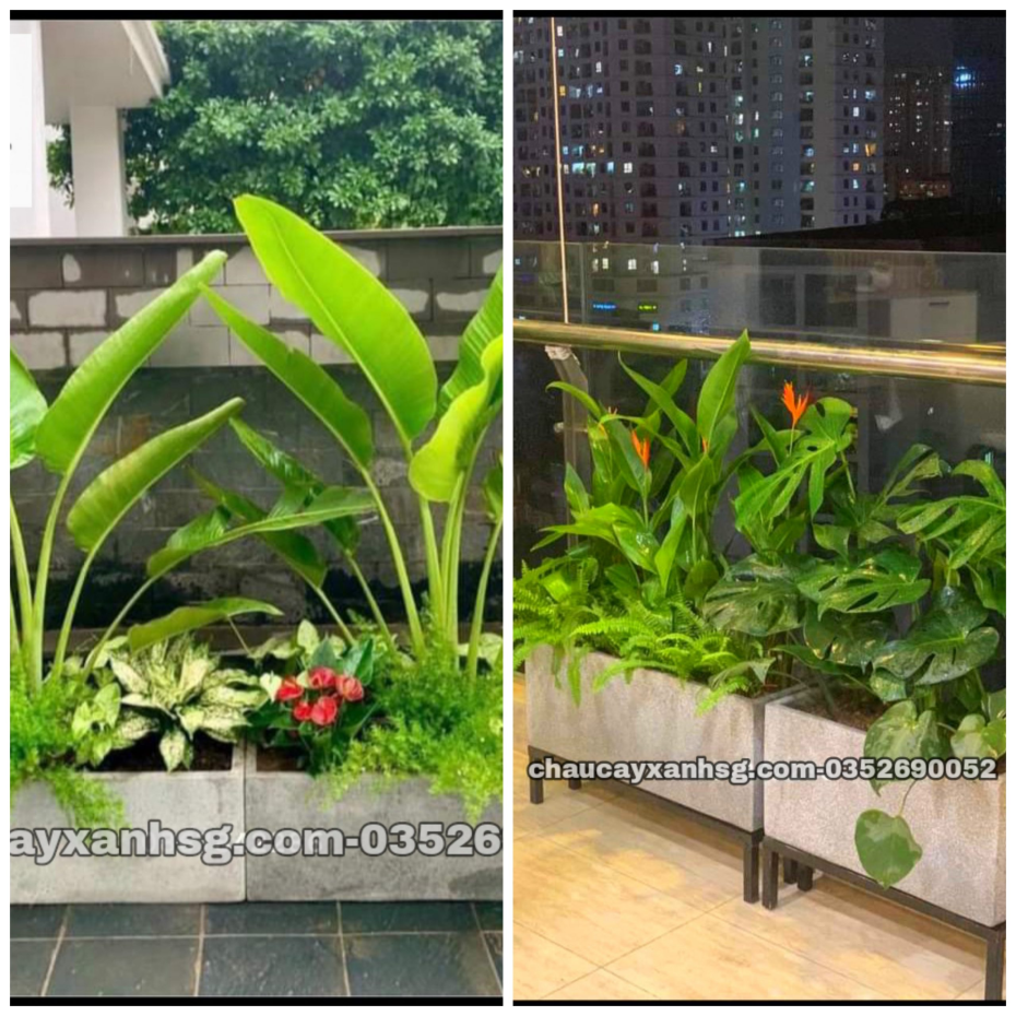 Chậu trồng cây chữ nhật 60x30x30