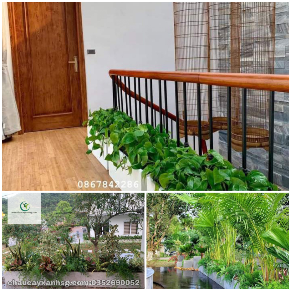 Chậu trồng cây chữ nhật 60x30x30