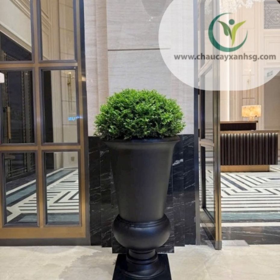 Chậu Xi Măng Hình Cúp