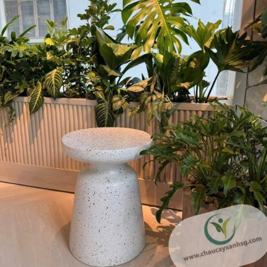 Đôn Xi Măng Hình Nấm 