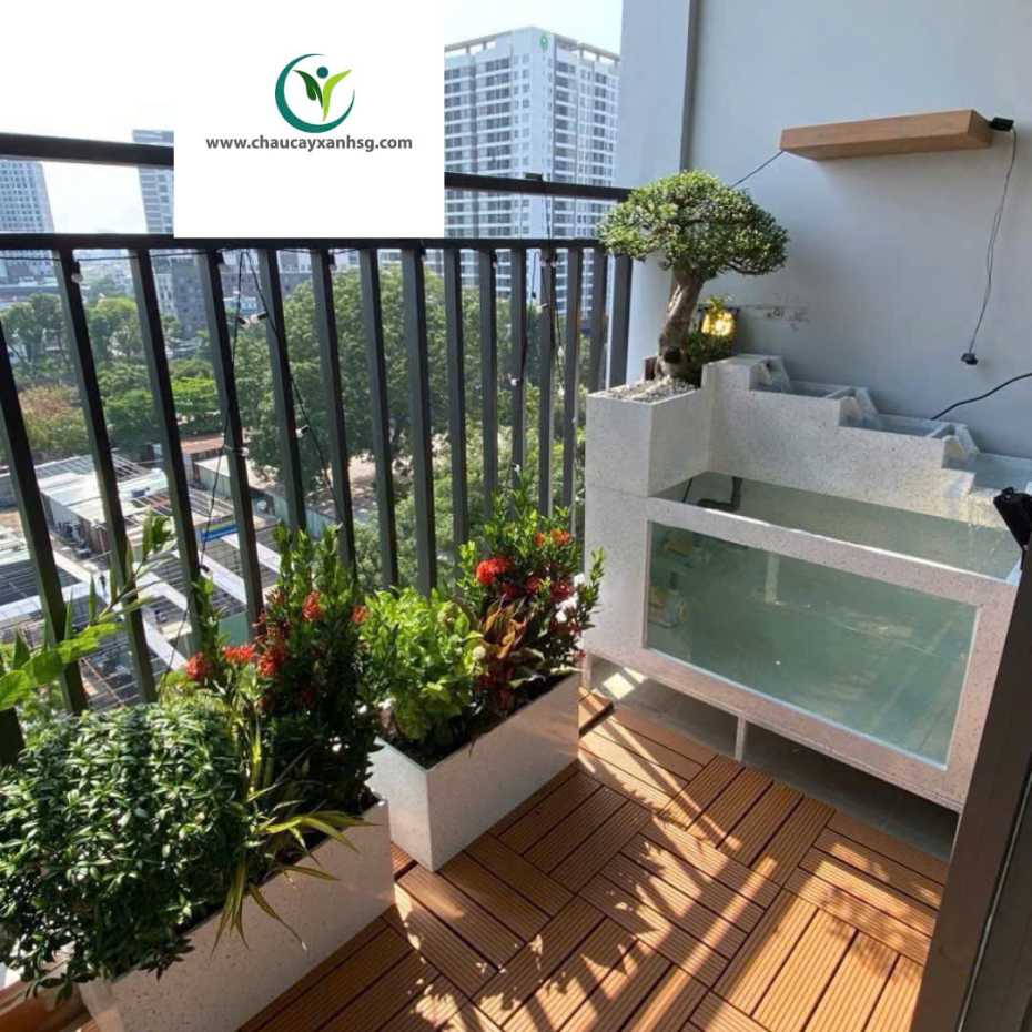 Chậu Cây Composite Theo Yêu Cầu Hình Chữ Nhật, Hình Tròn, Hình Vuông