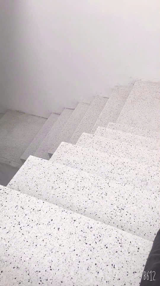Chậu Cây Xanh Sài Gòn