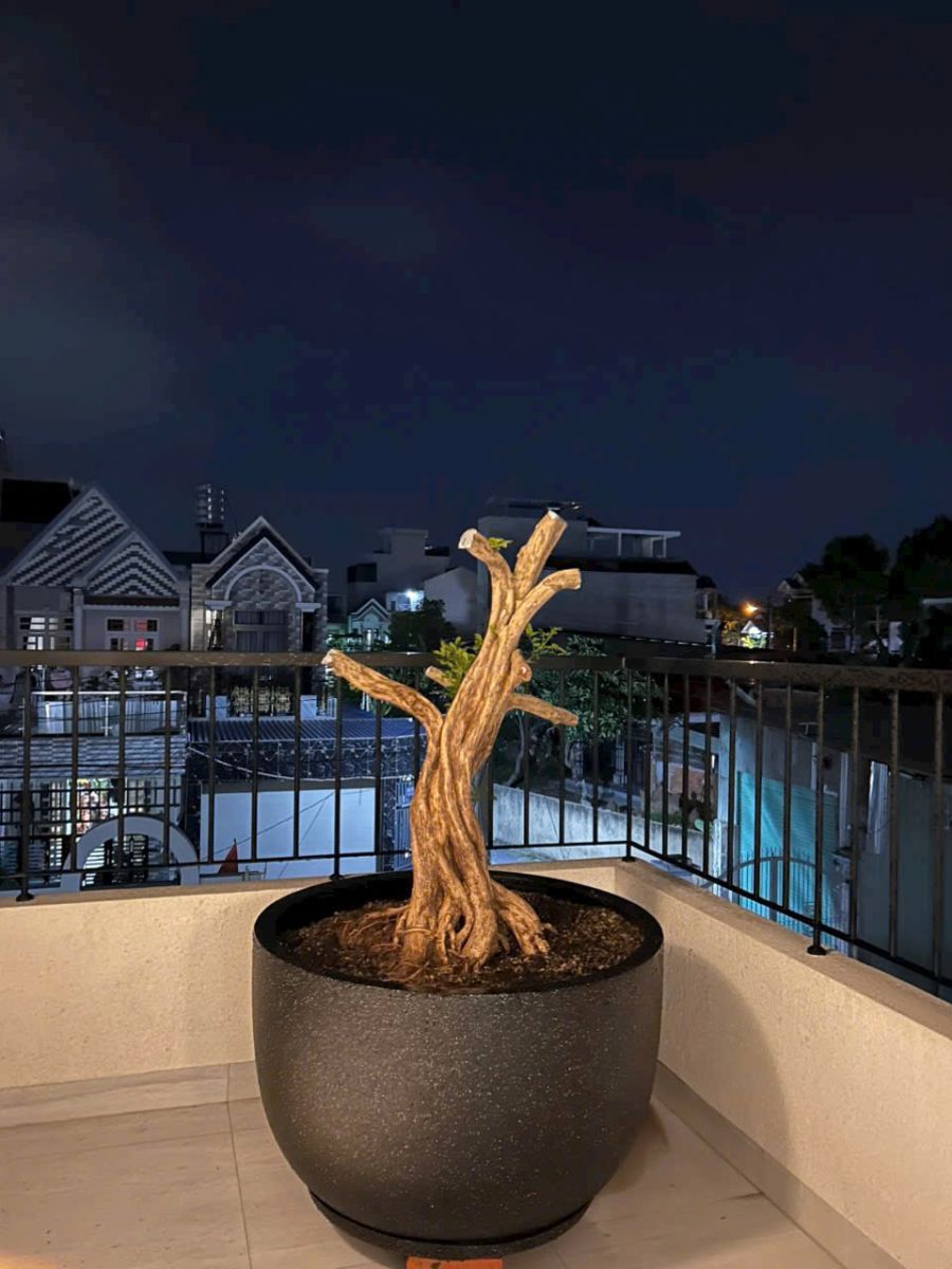 Chậu Composite Cao Cấp