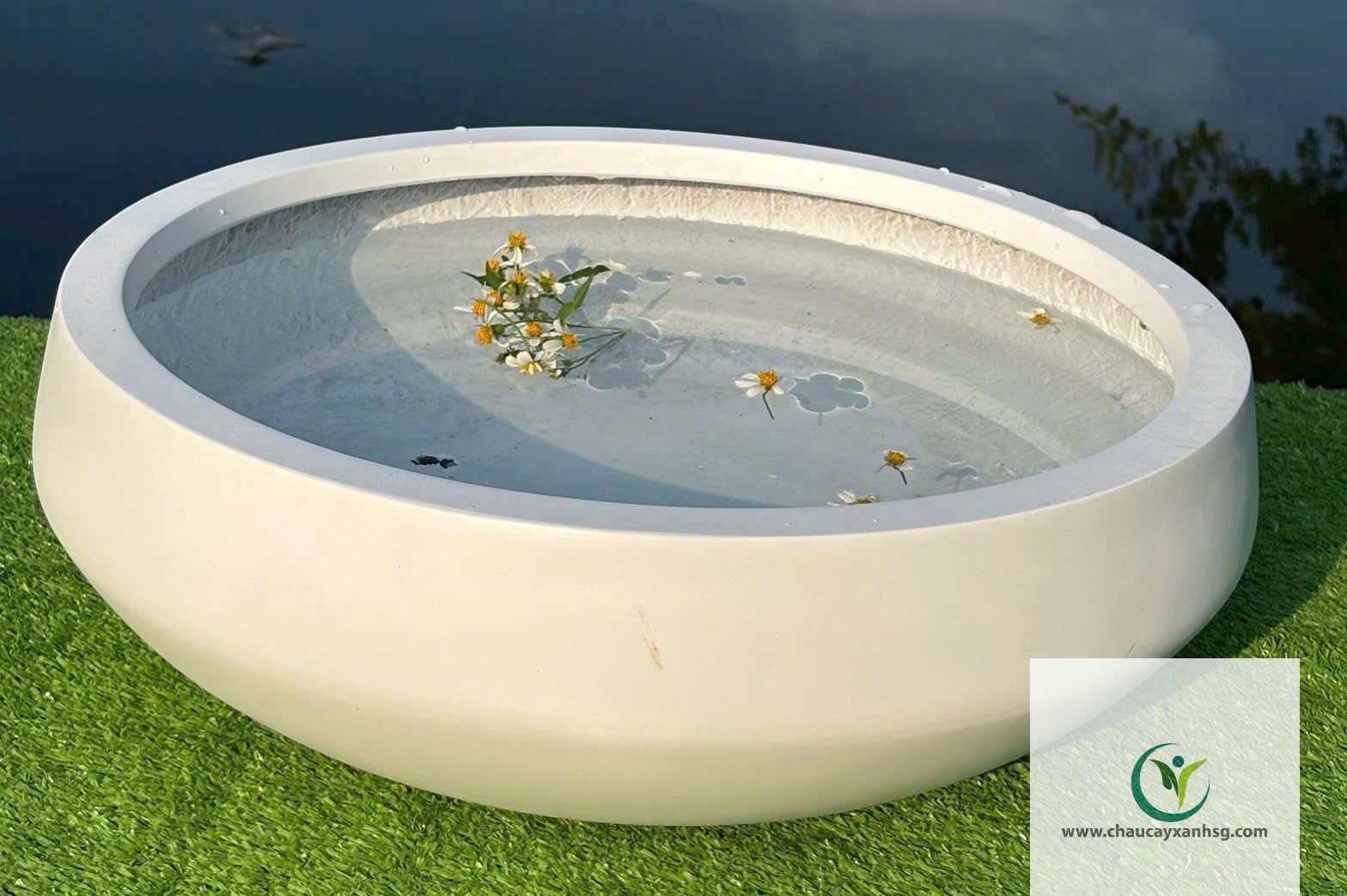Bộ Chậu Nuôi Cá Composite Giá Rẻ Tại Thành Phố Hồ Chí Minh 