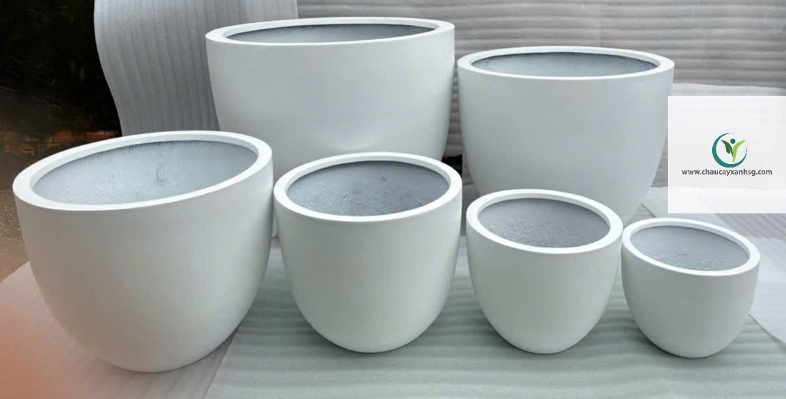Bộ Chậu Nuôi Cá Composite Giá Rẻ Tại Thành Phố Hồ Chí Minh 