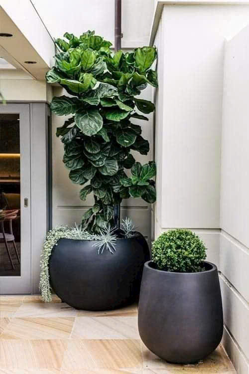 Chậu hoa composite đẹp 3
