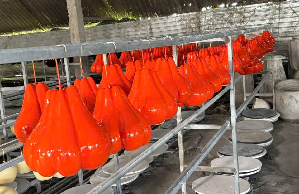  mô hình trái cây trang trí đẹp