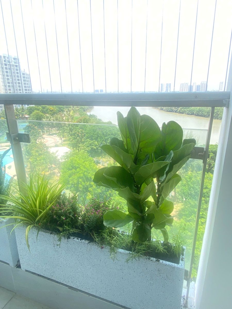 chậu composite giả đá đẹp, bền