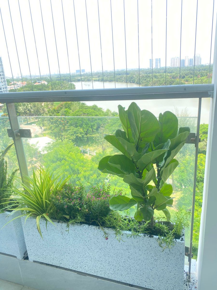 Báo giá chậu composite giả đá mài/ sẵn kho