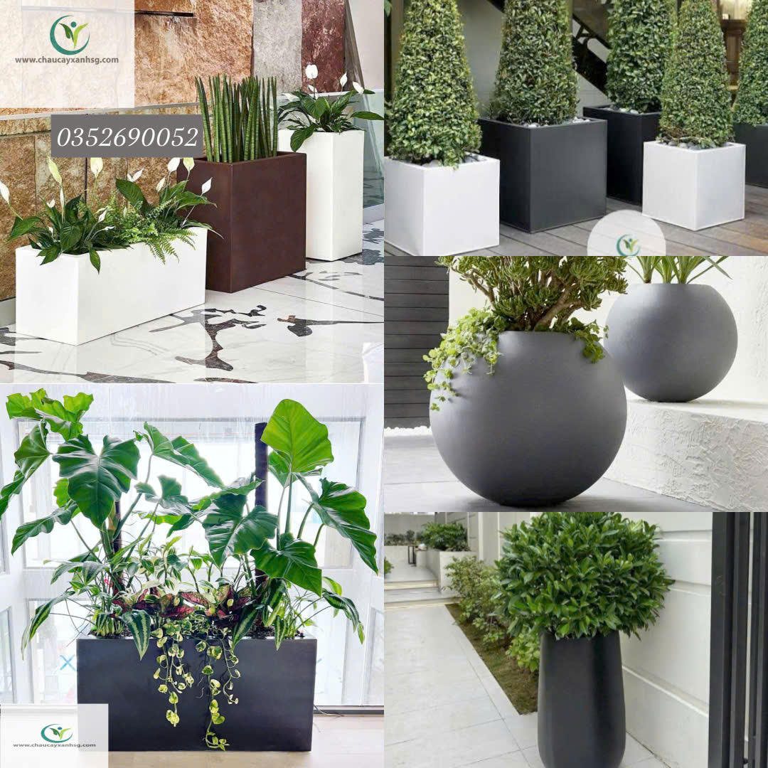 Chậu Composite Có Bền Không?
