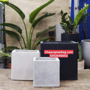 Các mẫu chậu xi măng đá mài hình vuông đẹp, giá rẻ