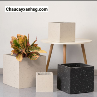 Chậu xi măng vuông