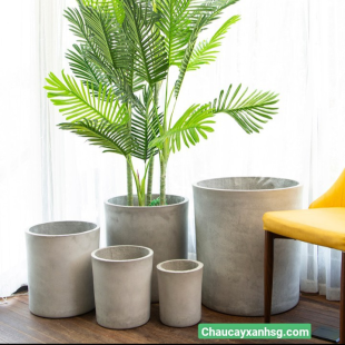 Chậu xi măng trụ tròn