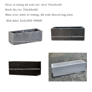 Chậu xi măng chữ nhật 70x20x20
