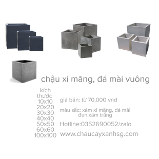 Tổng hợp các mẫu chậu xi măng trồng cây hình vuông đẹp giá rẻ